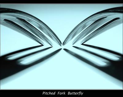 Butterfly(A C67 Example Photo)