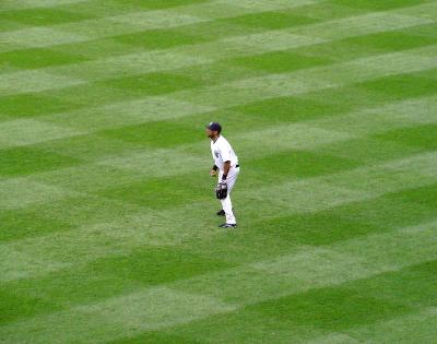 Outfield Symmetry by Keith T.
