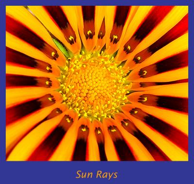 Sun Rays(A C67 Example Photo)