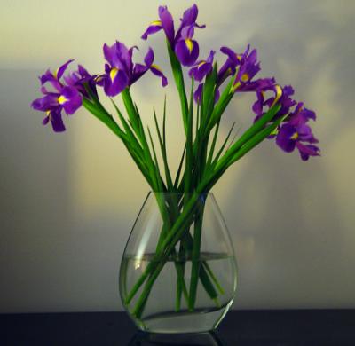 Irises*by Michael Buckman