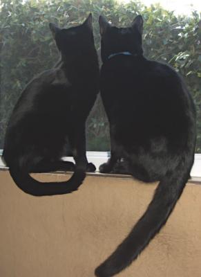 brothers by Peggy