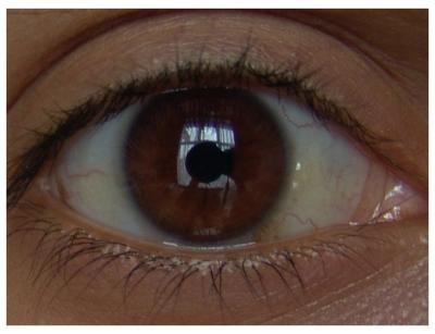 (*) What's behind the Eye? by Hassan Abba, April 2004