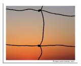 Color Strings* by Miguel Garcia-Guzman
