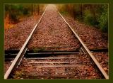 <b>4th</b><br>train tracks*  by Katherine Kenison