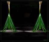<b>7th (tie)</b><br>Ladies-Of-Shalott<BR><FONT=2>irish_eye