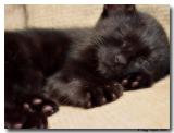 sleep