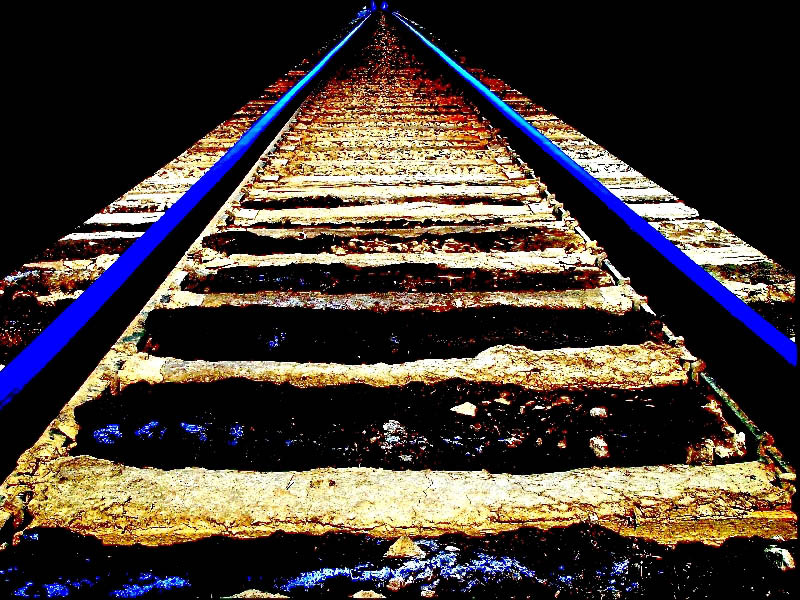 <b>8th (tie)</b><br><B><br> Tracked Symmetry</B><BR><FONT size =2>Cheryl Meisel</FONT>