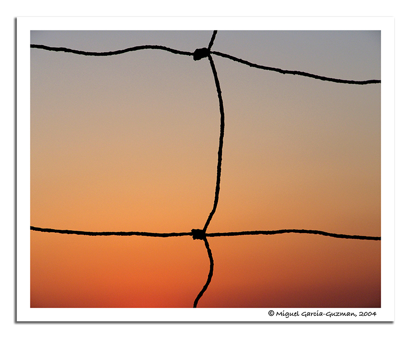 Color Strings* by Miguel Garcia-Guzman
