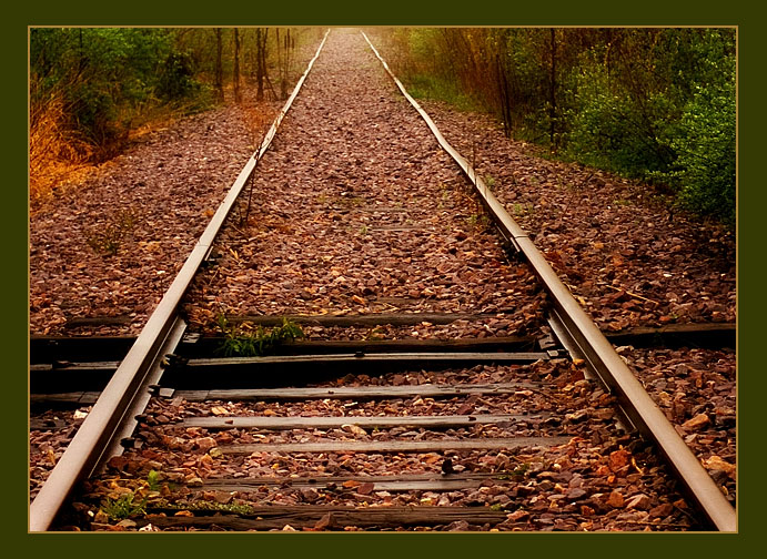 <b>4th</b><br>train tracks*  by Katherine Kenison
