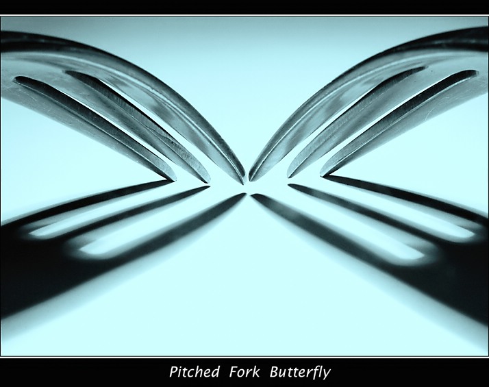 Butterfly<br><font size=1>(A C67 Example Photo)</font>