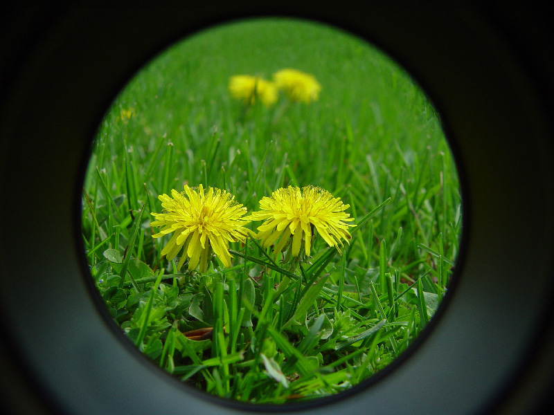 <B><br> Symmetry Through a Telephoto Lens</B><BR><FONT size =2>Cheryl Meisel</FONT>