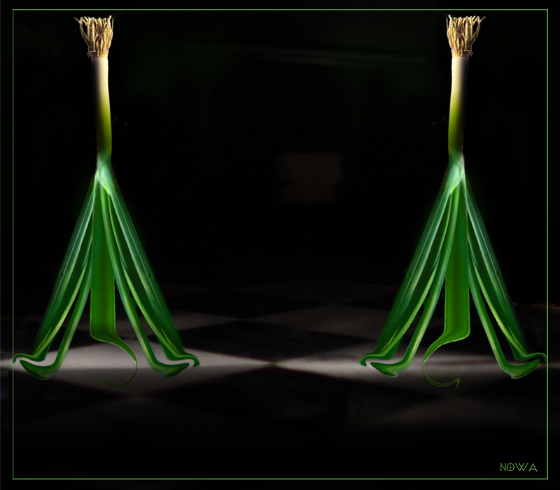 <b>7th (tie)</b><br>Ladies-Of-Shalott<BR><FONT=2>irish_eye