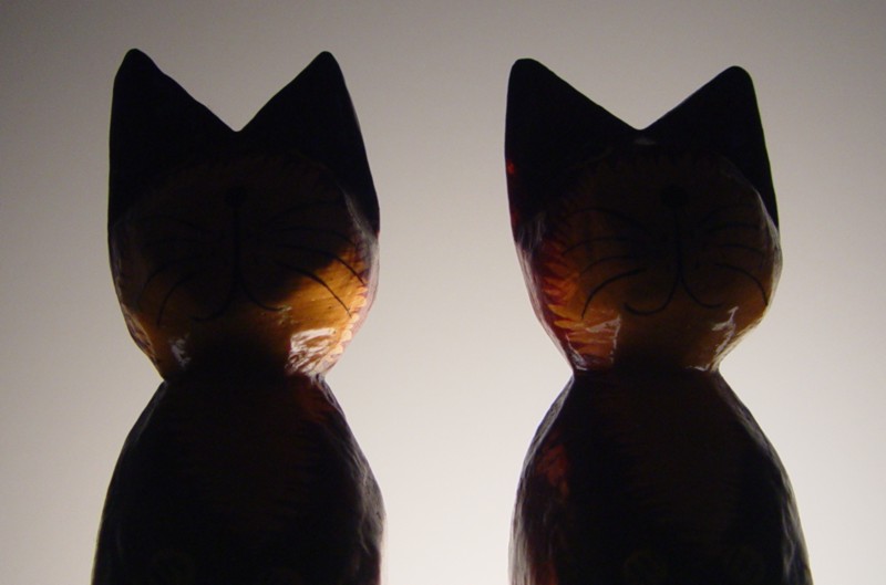 <b>Cats*</b><br><font size=1>by Ric Skilton</font>