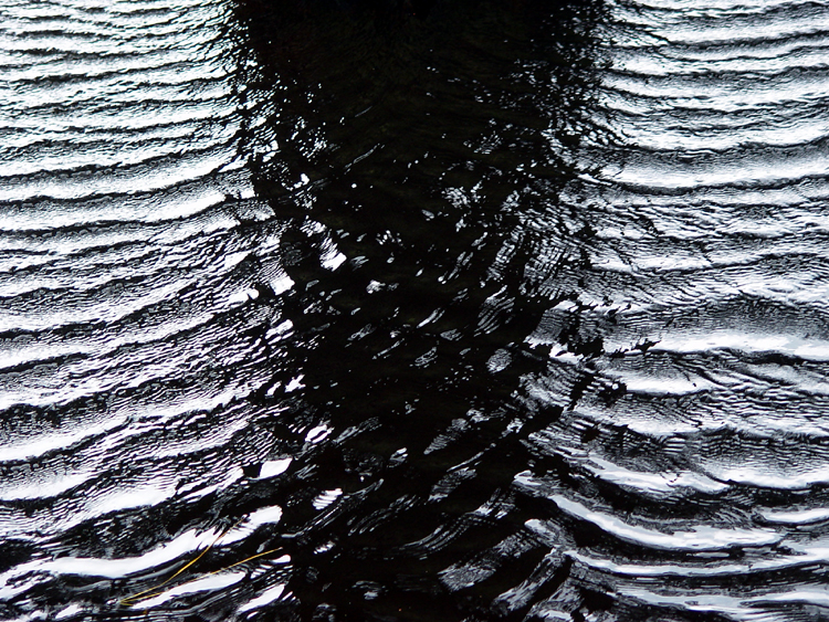 Ripples*<br>by Whats-His-Name