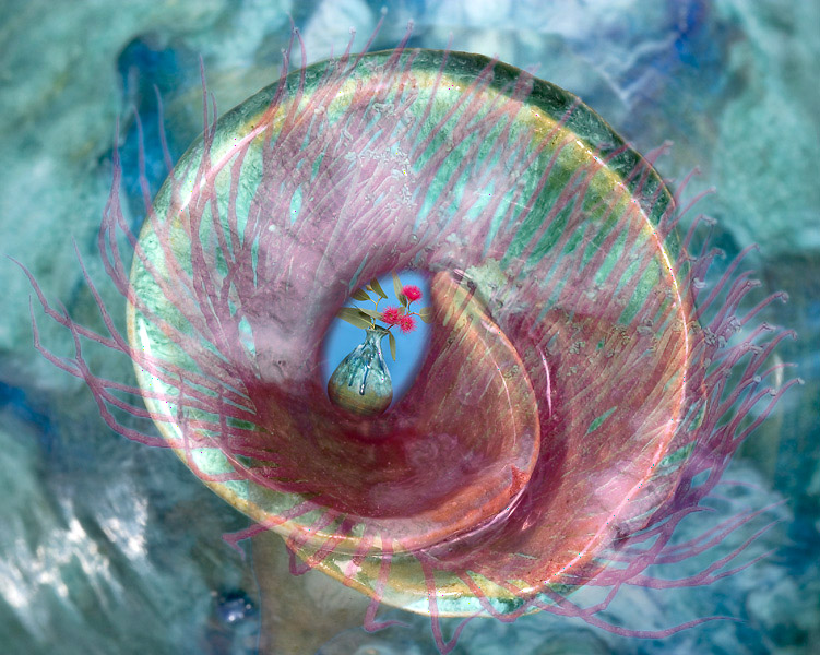 <b>Empty vase, dreaming...</b><br><font size=1>by Mike Fitzgerald</font>