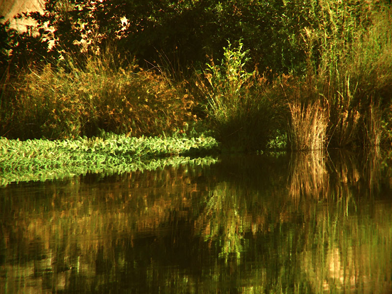 Reflections<br><font size=1>by JoseNoway</font>