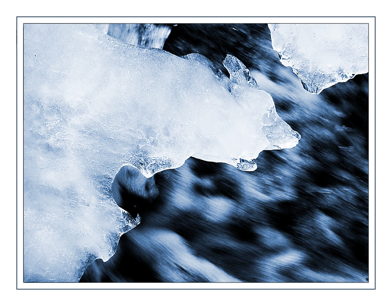 Suspended in Time <br><font size=1>by Bev Brink</font>