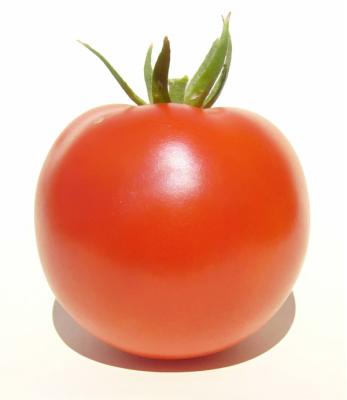 Homegrown Tomato