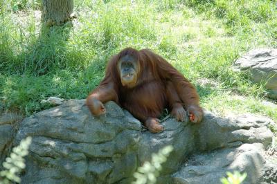 DSC_0543.jpg