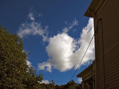 September 19, 2004