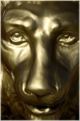 Flying Lion (face detail)