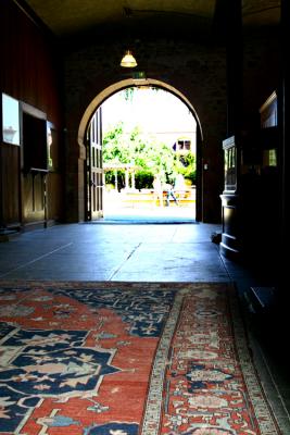 u44/suhatri/medium/33739520.Coppola001RS.jpg