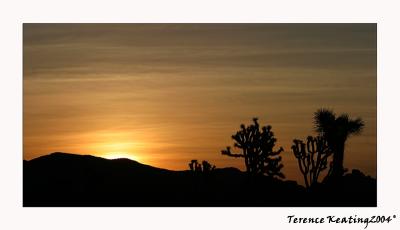sunset silhouette2.JPG