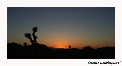 sunset silhouette3.JPG