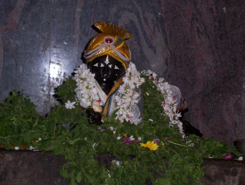 dodda-krishna