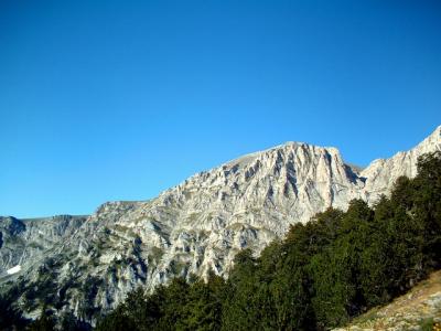 olympus03.jpg