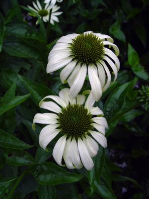 DSC03849_02_web.jpg