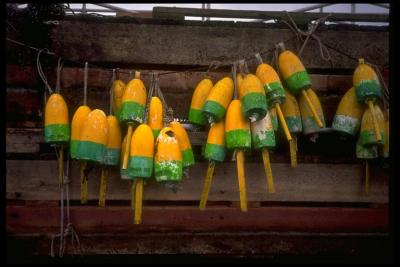 Nature-Crabpots.jpg