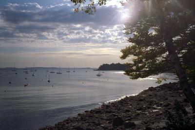 Nature-afternoon.jpg