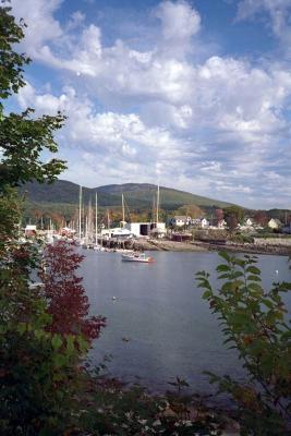 Nature-harbor01.jpg