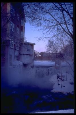 Nature-steam.jpg