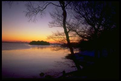 Nature-sunrise.jpg