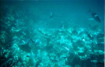 Untitled-10.jpg