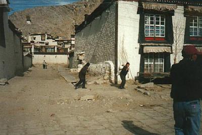 u44/teresa_vilhena/medium/28636036.tibetfree11pb.jpg