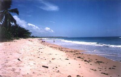 Praia de Algodes