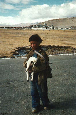 Alegria - Tibet