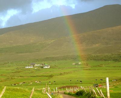Dingle rainbow