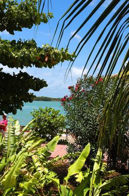 Caiman Islands