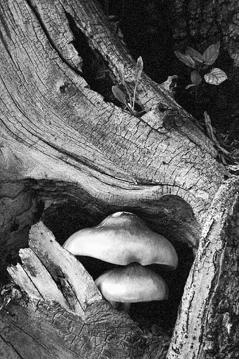 092804xp2_crop0007 copy.jpg