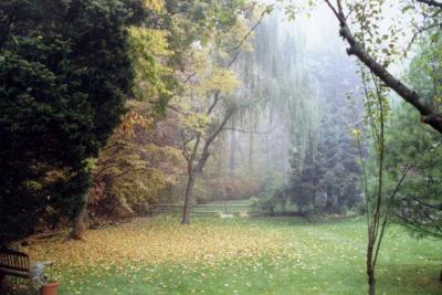 Autumn 1998