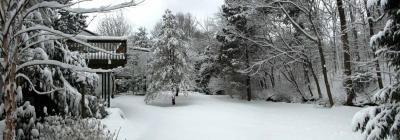 Snowy Backyard 2005
