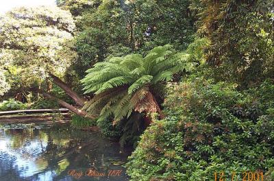 The Lost Gardens of Heligan (UK)