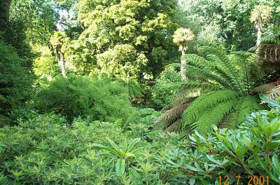 The Lost Gardens of Heligan (UK)