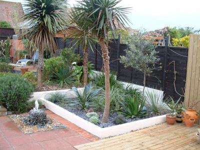 The main succulent bed, May 2004