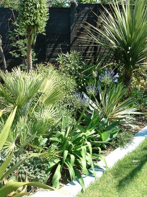 Kevin P`s Sussex Garden (UK)
