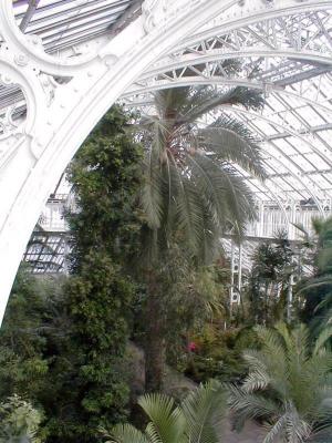 temperate house from the roof gallery.bmp
